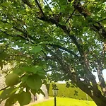 Il Tiglio Bianco Sienne
