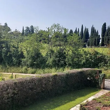 Il Tiglio Bianco *